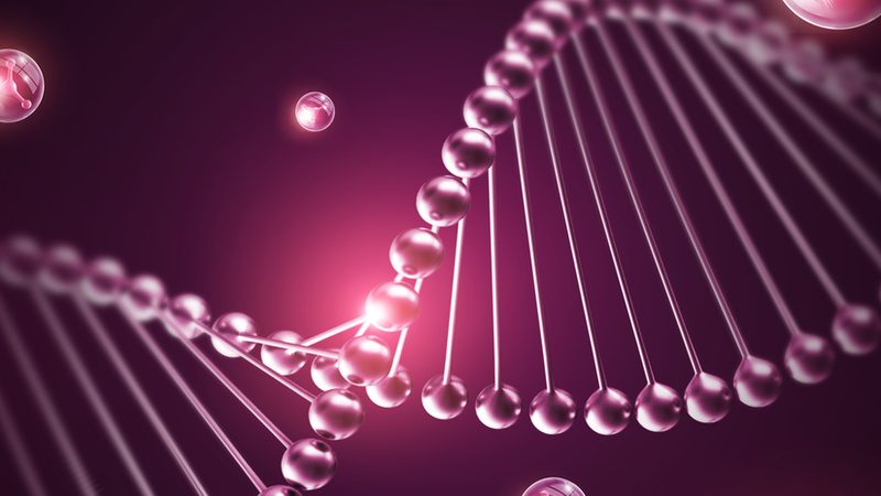 CDMO与CMO：合同差异解析，助您明智选择