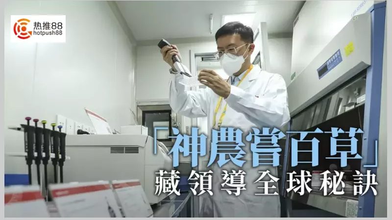 免疫试剂：如何准确评估其优缺点？**