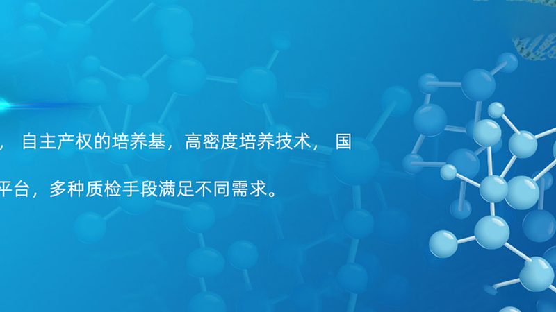 揭秘上海细胞工厂排名之谜：十大亮点解析**