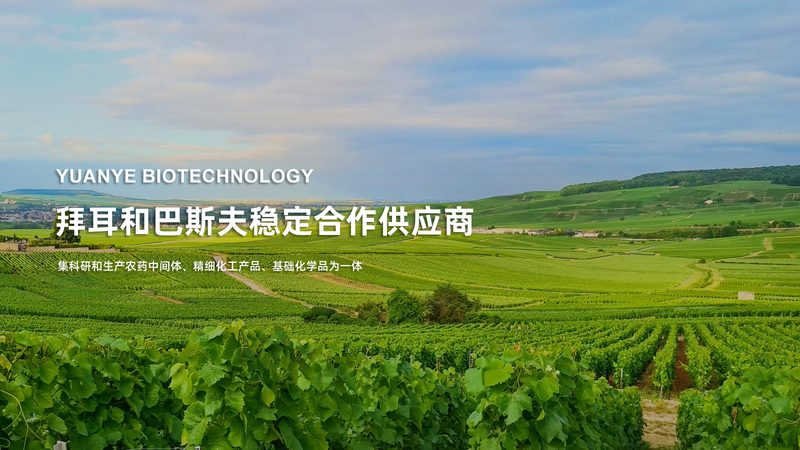 原料药CDMO质量标准：合规之路上的关键要素