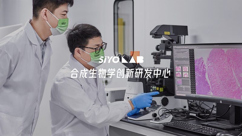 国产培养基：抗体生产中的得力助手
