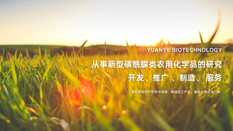 重组抗体表达成本解析：影响因素与优化策略**