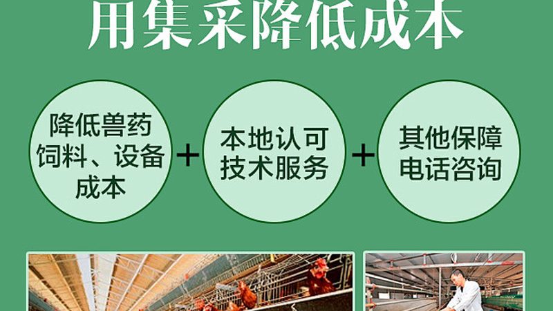 CDMO商业模式流程解析：揭秘生物制药的幕后力量