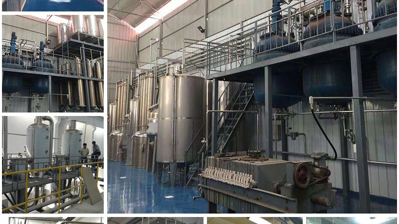 上海CDMO医药研发外包：揭秘医药研发背后的“隐形推手